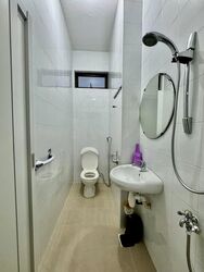 Cheng Soon Garden (D21), Semi-Detached #557818801